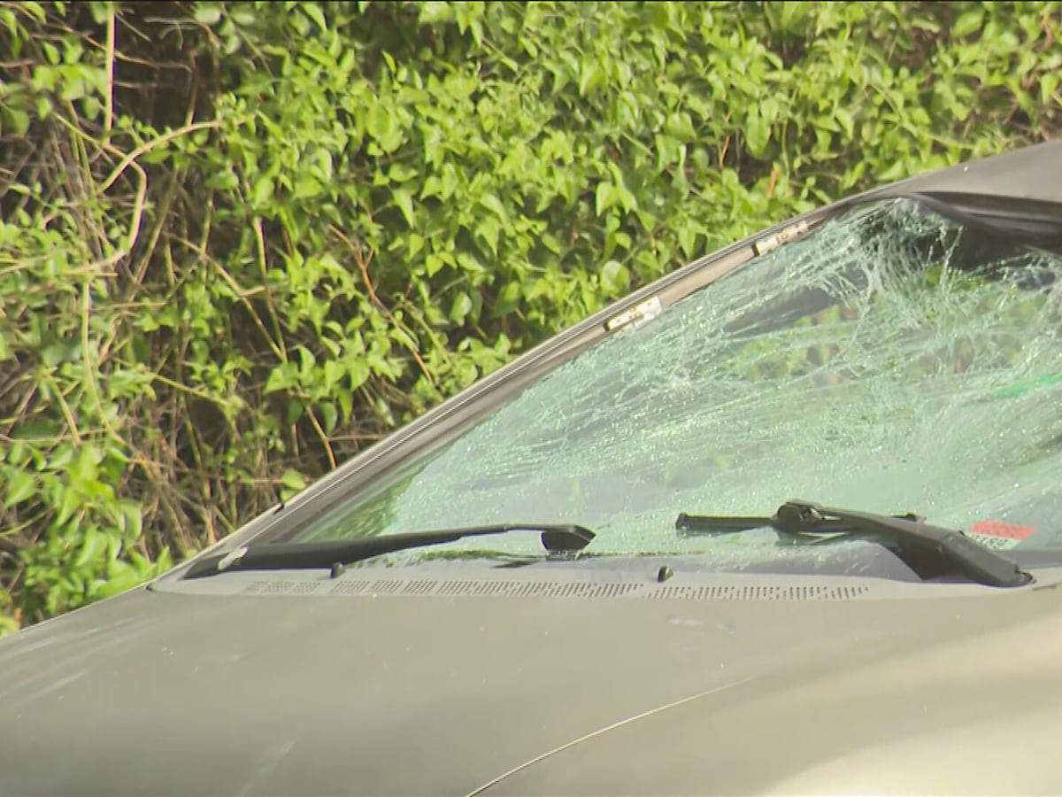 Scooter rider hospitalized after being struck by vehicle in northwest Miami-Dade