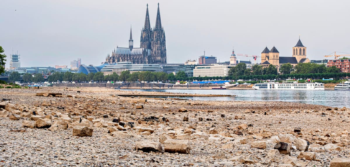Köln erleichtert – keine Gefahr von Waldbrand im Rhein