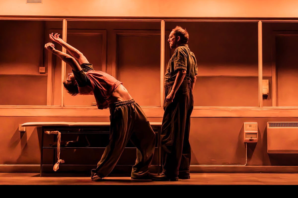 Cleansed at the Almeida: A gruelling, gripping orgy of cruelty