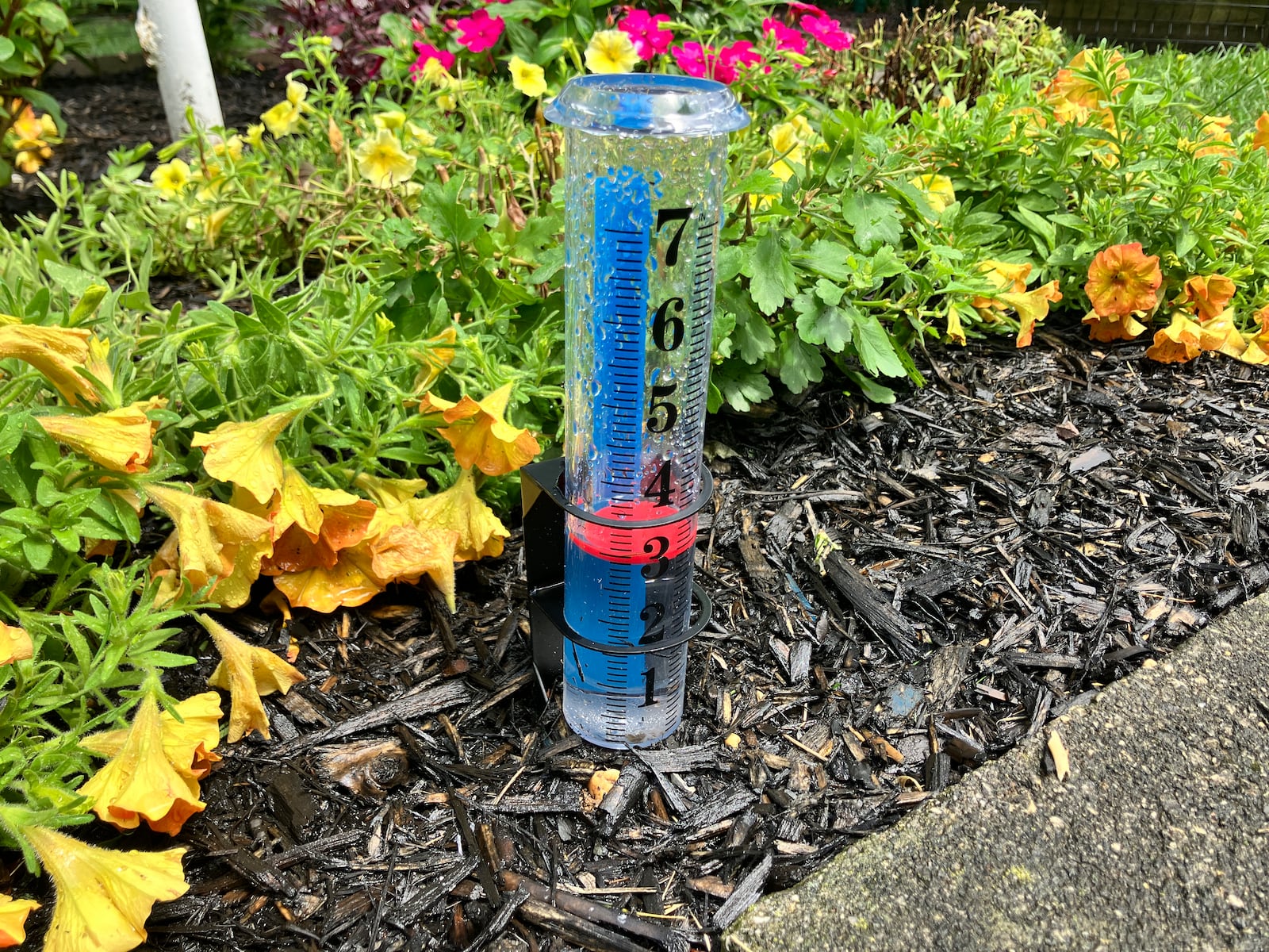 Heavy rain soaks parts of N.J., with some areas topping 4 inches. See town-by-town totals.