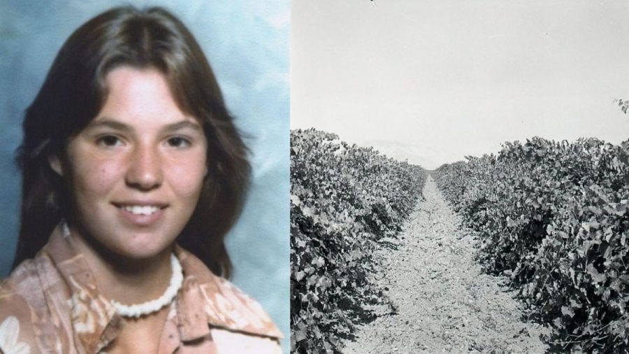 Slain teen girl found buried in California vineyard identified nearly 50 years after death