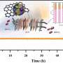 Researchers develop a new catalyst to convert CO₂ into ethanol using electricity
