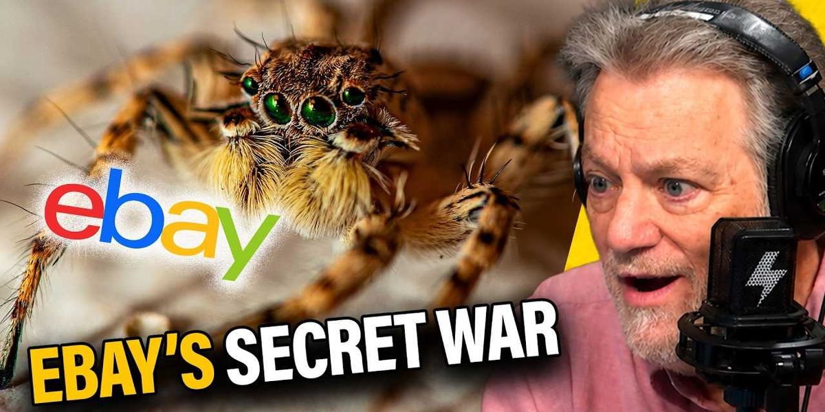Bloody pig masks and live spiders: The disturbing secret war eBay waged on critics