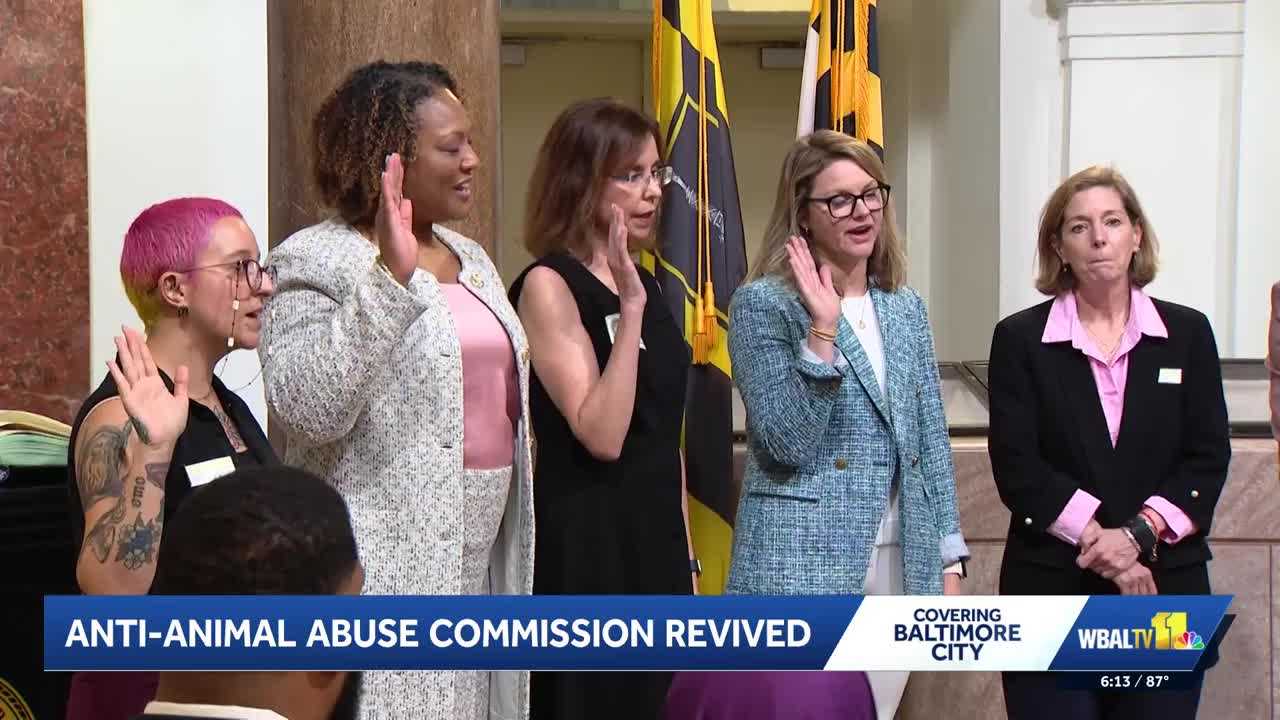 Baltimore revives anti-animal abuse commission