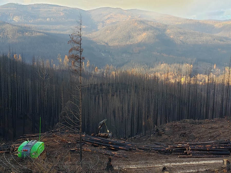 Court denies request to pause Southern Oregon logging project due to wildfire risk