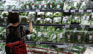 Inflation expected to edge up in Aug. on base effect: BOK