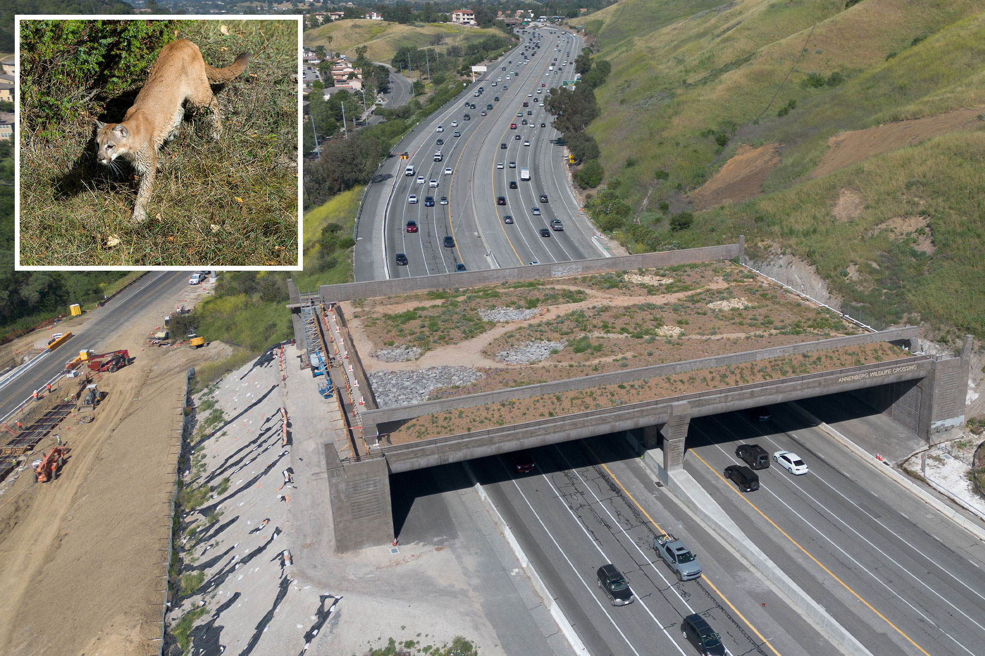 Fury as major freeway ramp closed in aid of $114M wildlife crossing