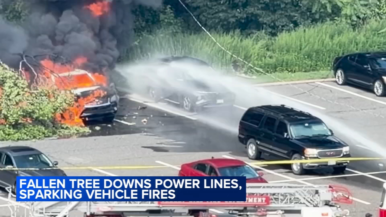 Fallen tree sparks fire that destroys 2 vehicles, cuts power to Cherry Hill high-rises