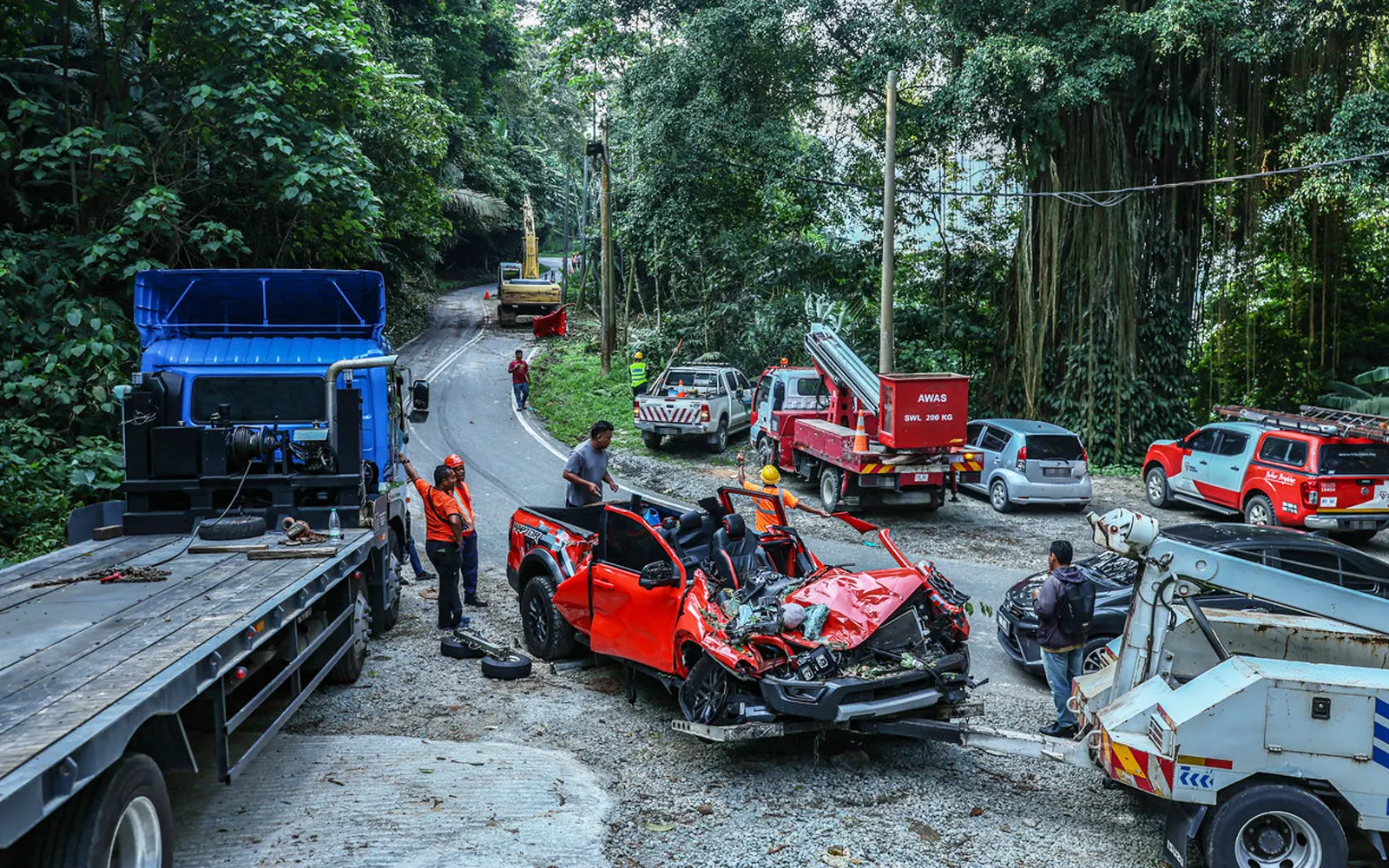Bentong MP calls for periodic assessments of mature trees