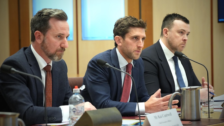 Sportsbet, TAB deny allegations reps offered escort and drugs to gambler