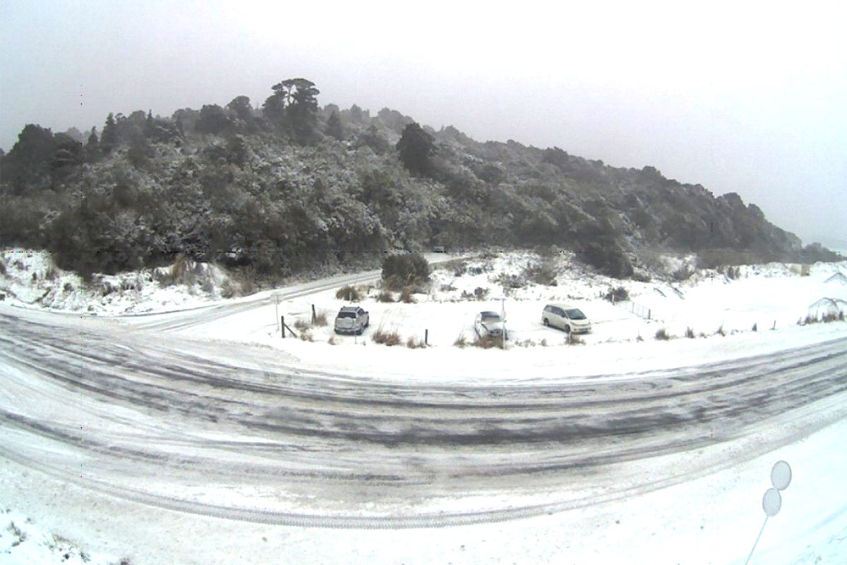 Snow blankets New Zealand’s South Island as Antarctic blast causes travel disruption
