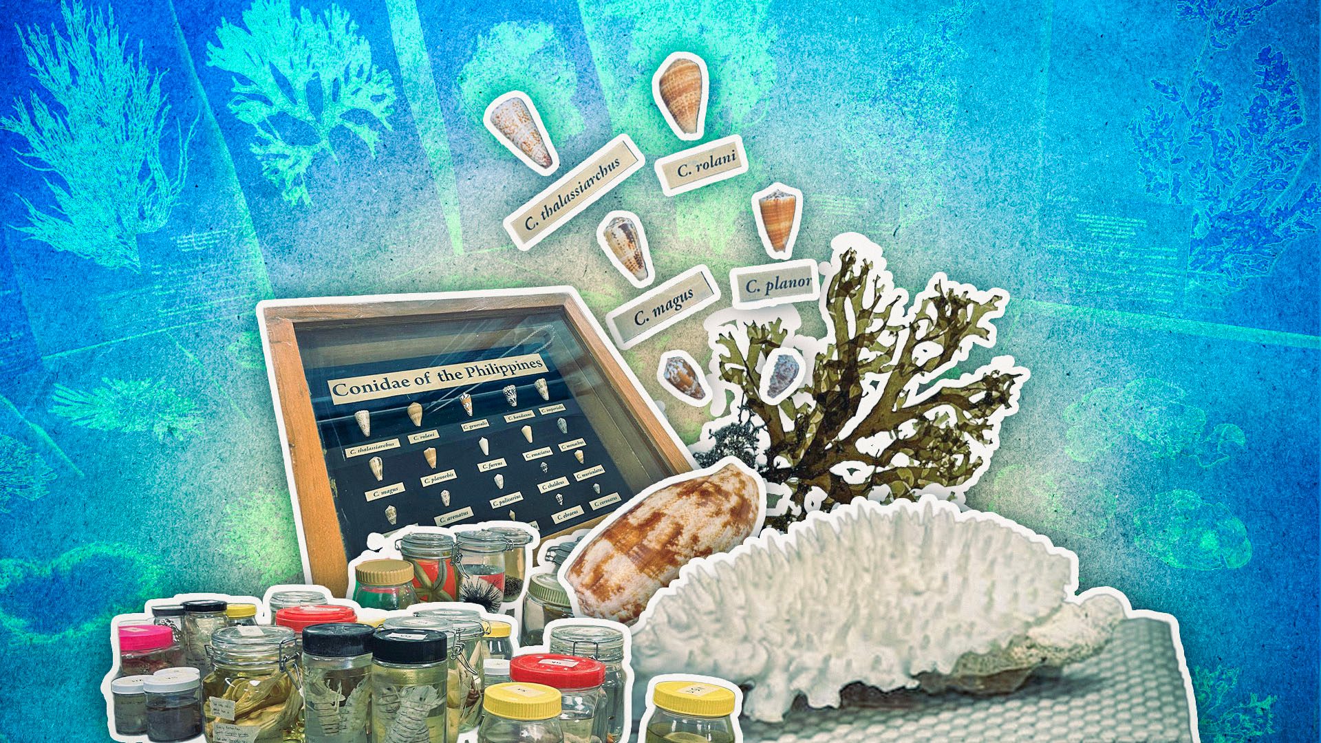 [Kasalikasan] When SC sides with big fishers, who really wins?