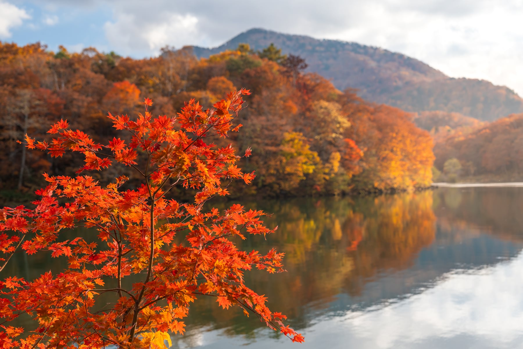 Fall foliage 2026: When will leaves change this year?