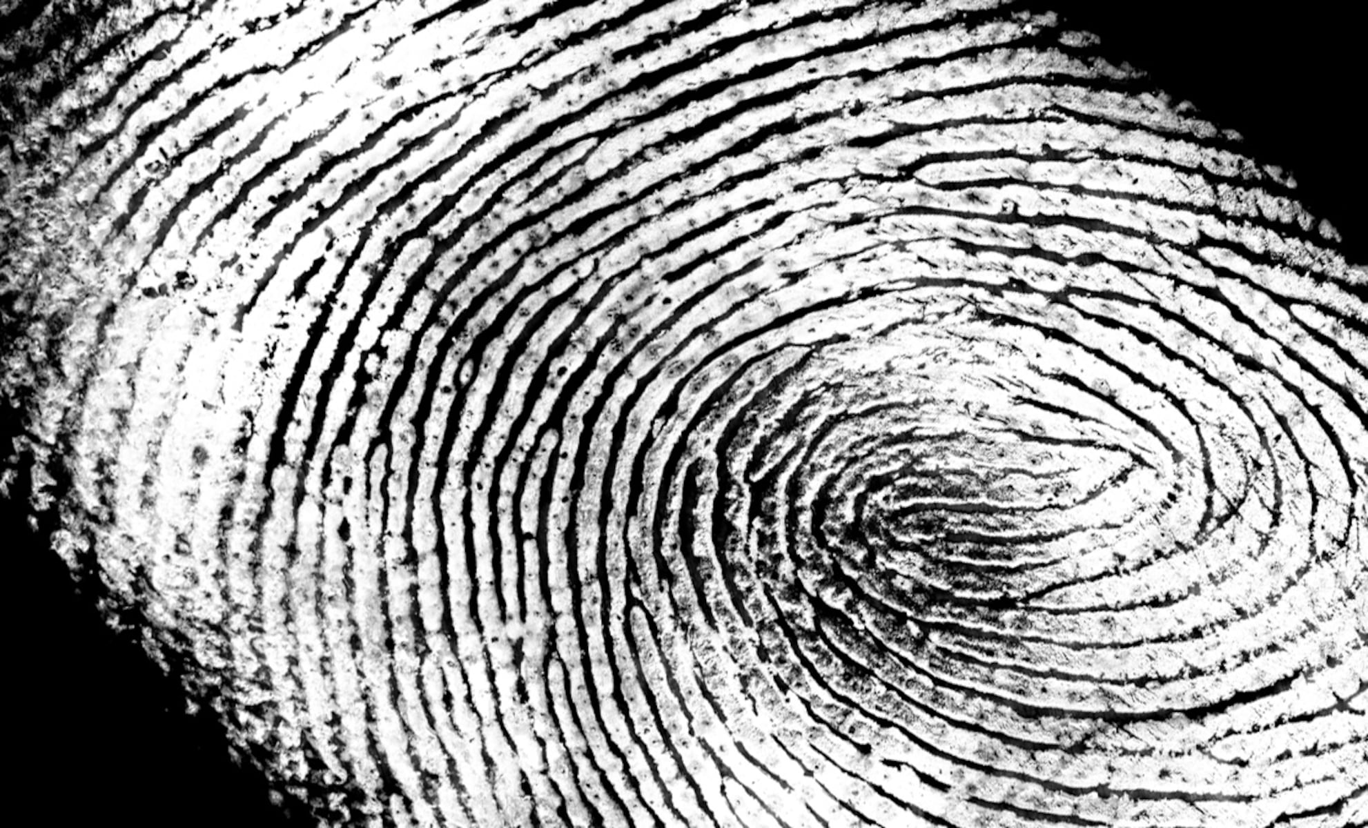 Iowa woman fatally shoots man during target practice, claims self-defense: Police
