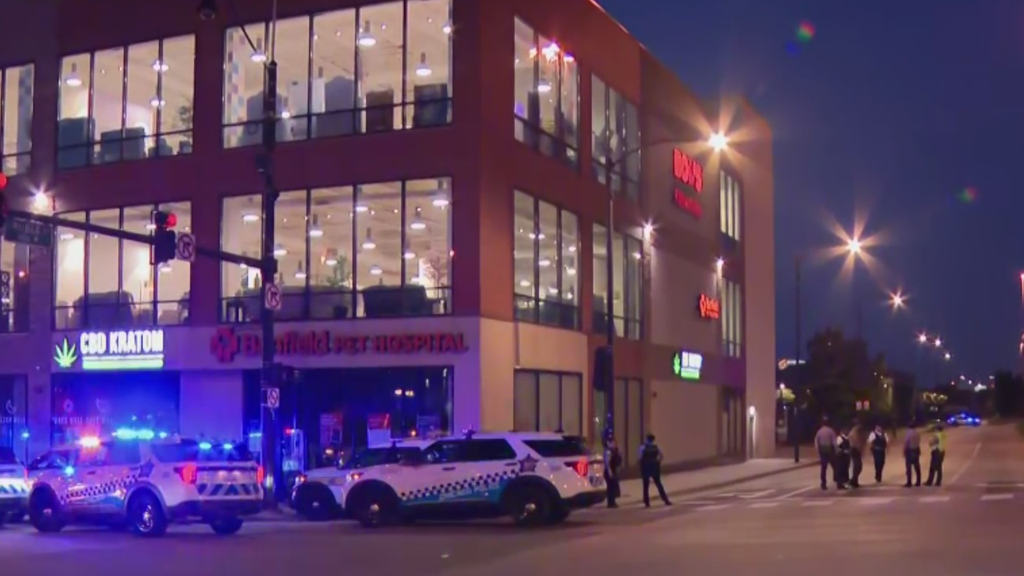 Shooting investigation underway on IB Dan Ryan Expressway