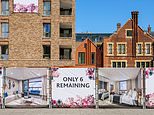 Help to Buy has netted Government £1.74bn... but future gains will be hit by plummeting flat prices