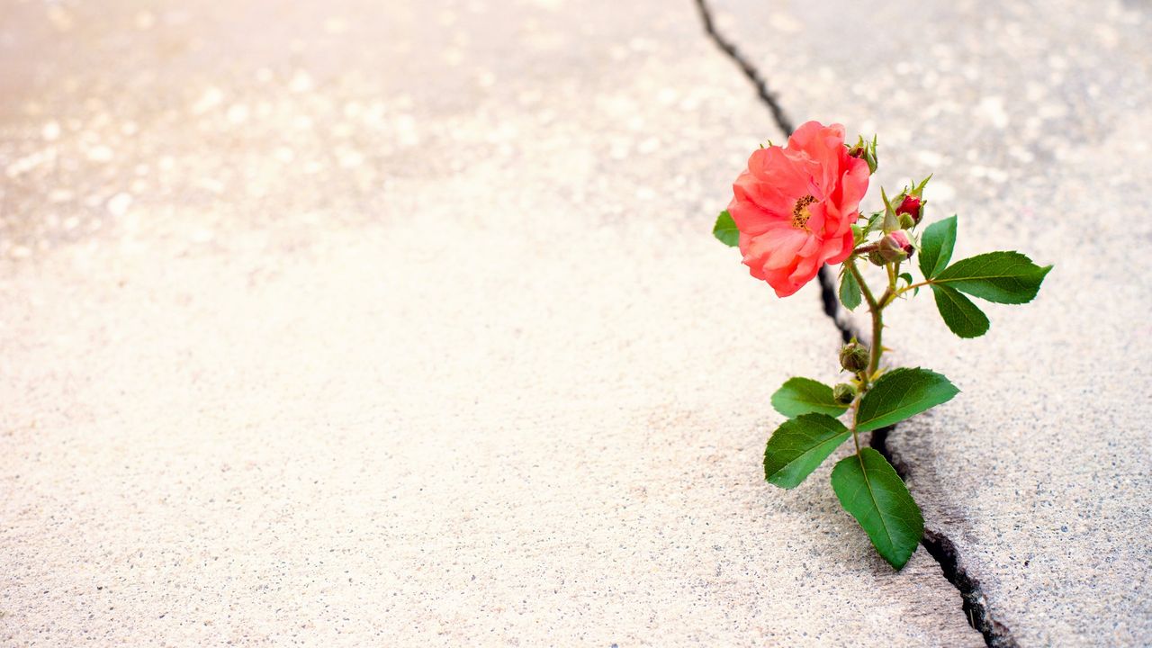 Why a Down Market is the Best Time for a Roth IRA Conversion