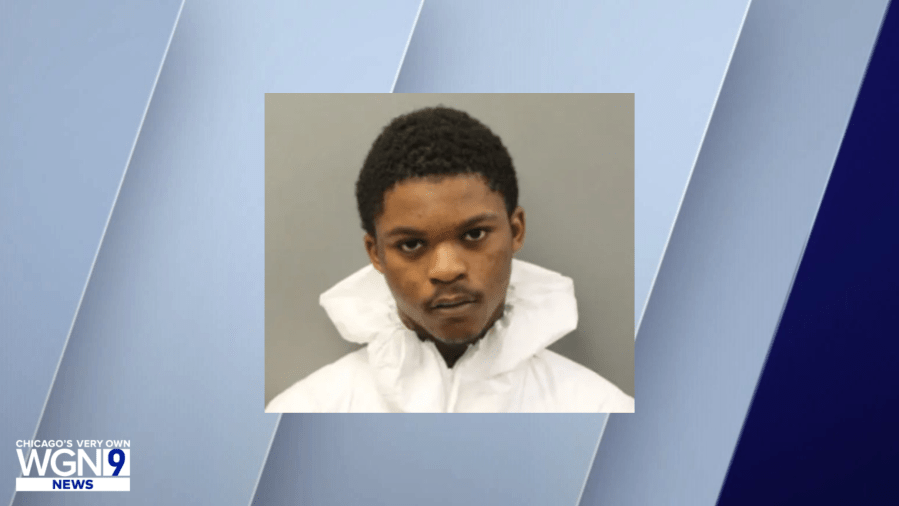 Chicago man pleads guilty to shooting US Marshal, K9 in Belmont Cragin in 2022
