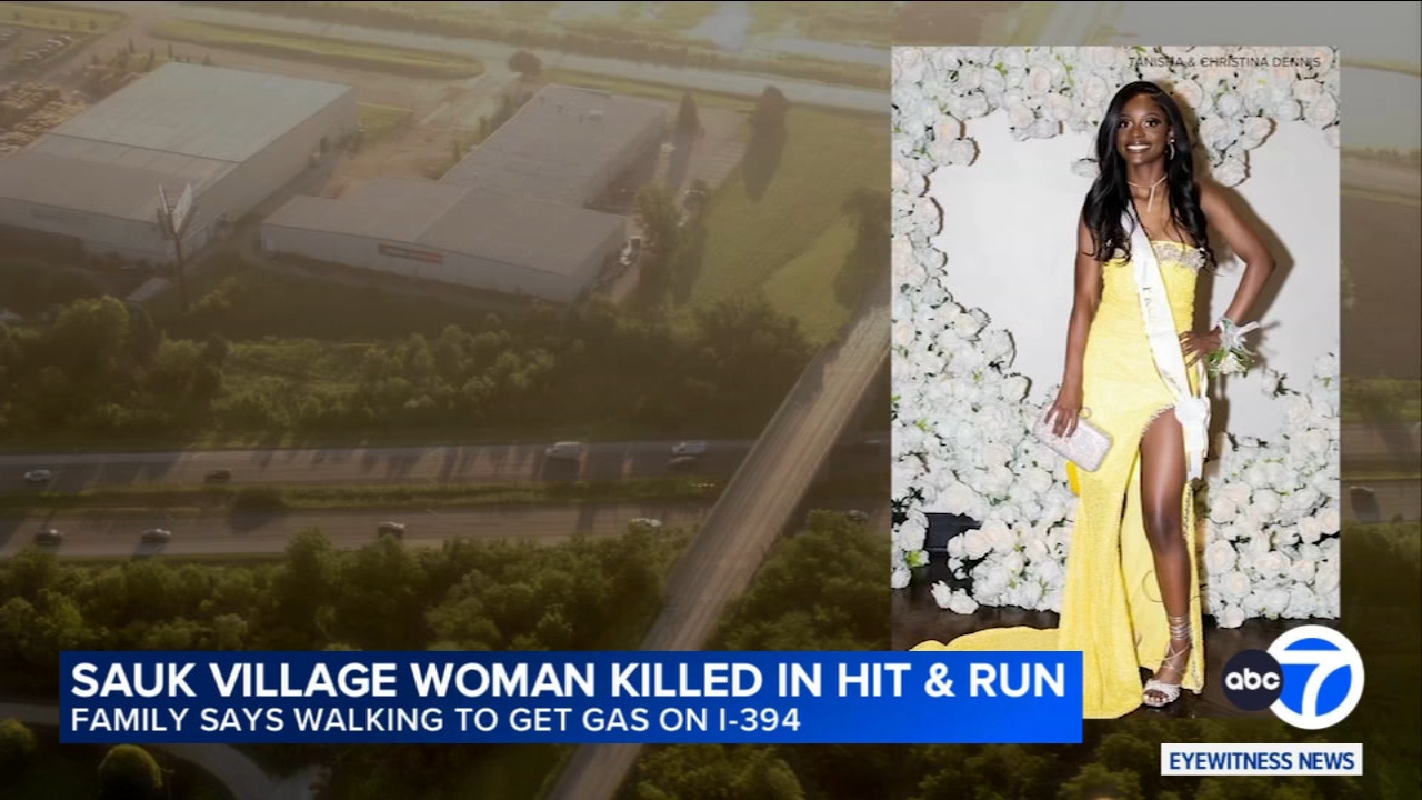 Woman killed in suburban hit-and-run crash was walking to gas station after birthday party: family