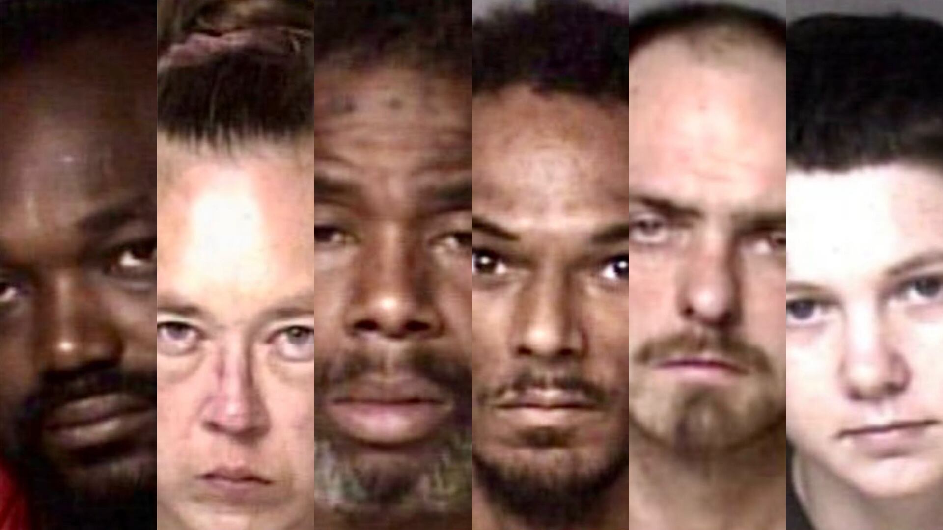 6 arrested, stolen dog rescued after Flock cameras flag wanted vehicle in Gaston County