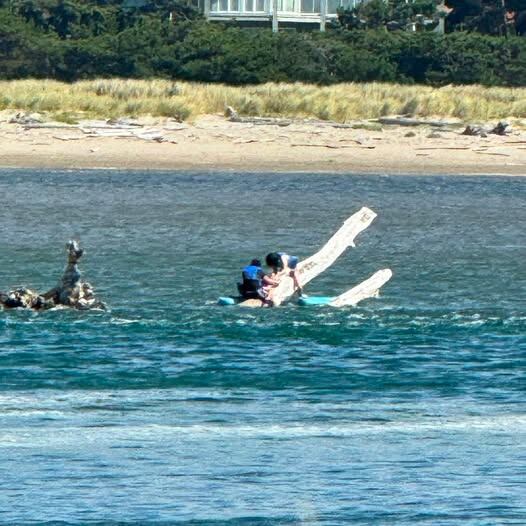 Family rescued from Oregon bay after becoming stranded