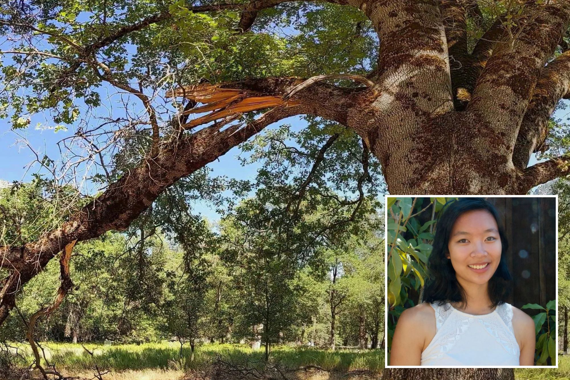 Yosemite warns visitors about deadly park hazard that recently killed Google engineer