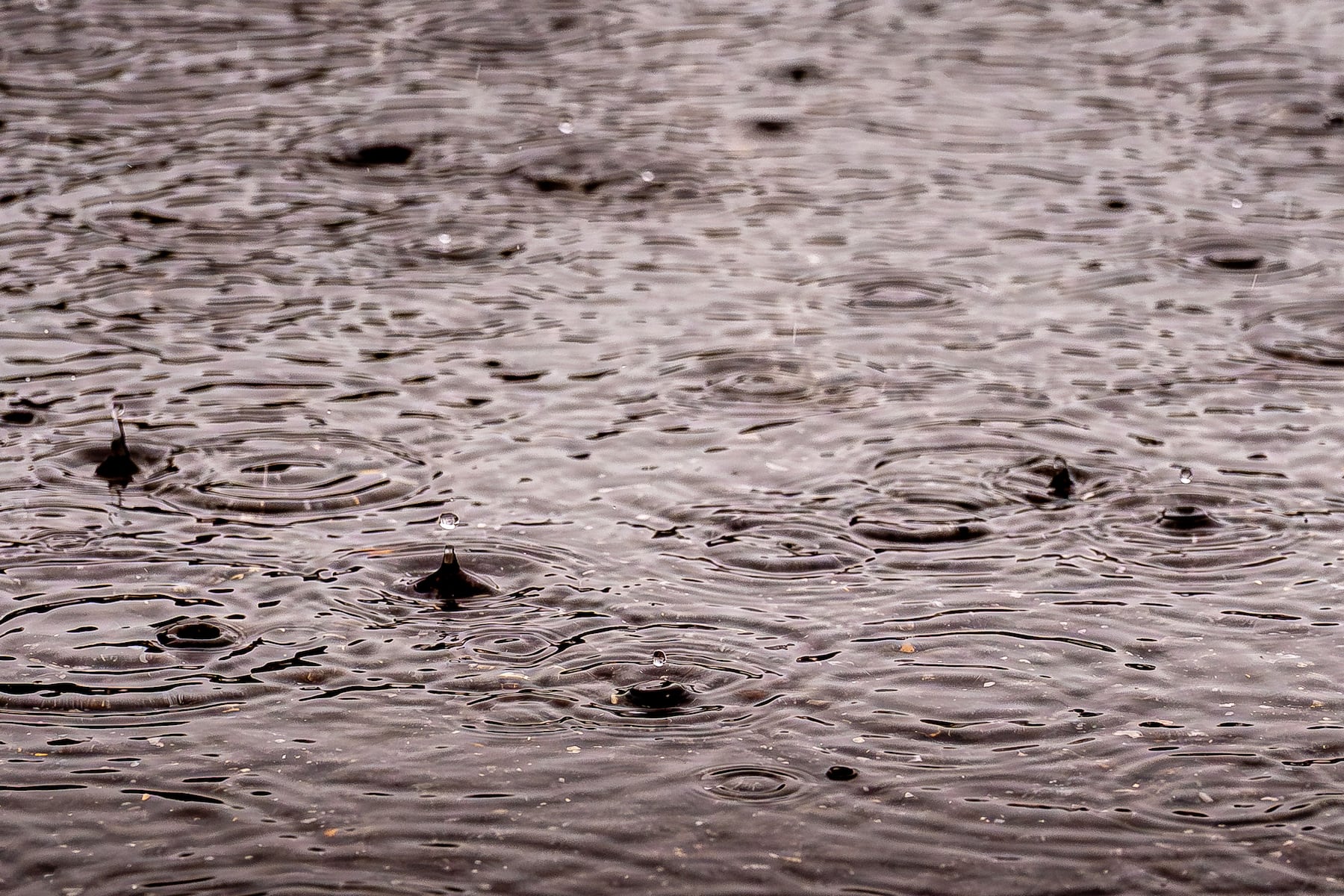 How much rain fell across Massachusetts on Monday?