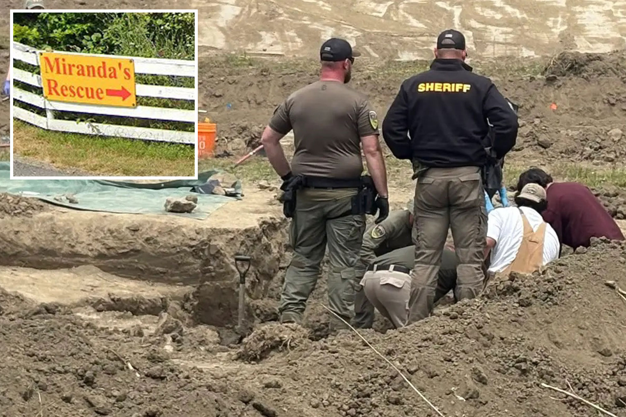 California animal rescue owner with 117 dead dogs found in mass grave unleashes on ‘Gestapo’ cops