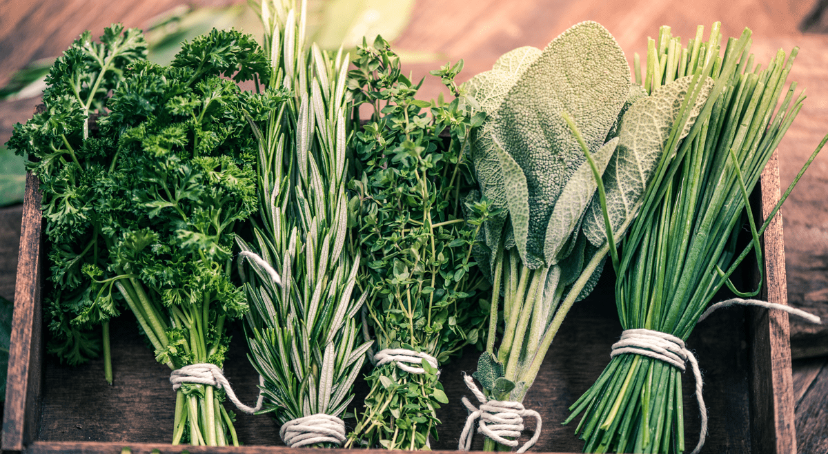 Edible Garden Secures Multi-Year Private Label Supply Agreement Through 2028