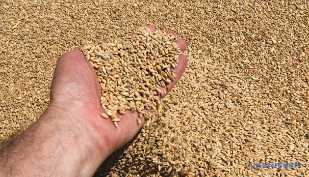 Ukraine could lose up to $3B in agricultural sector due to Russian attacks on ports – Vysotskyi