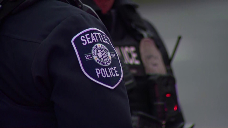 Beacon Hill homeowner pins burglar to ground after being stabbed with ice pick