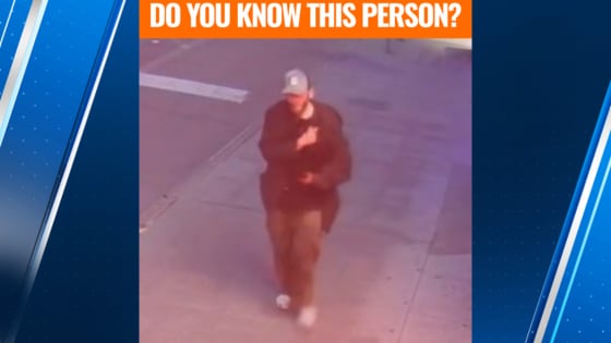 Pasado’s offering $5k for info leading to arrest of person who abducted, tortured cat in Seattle