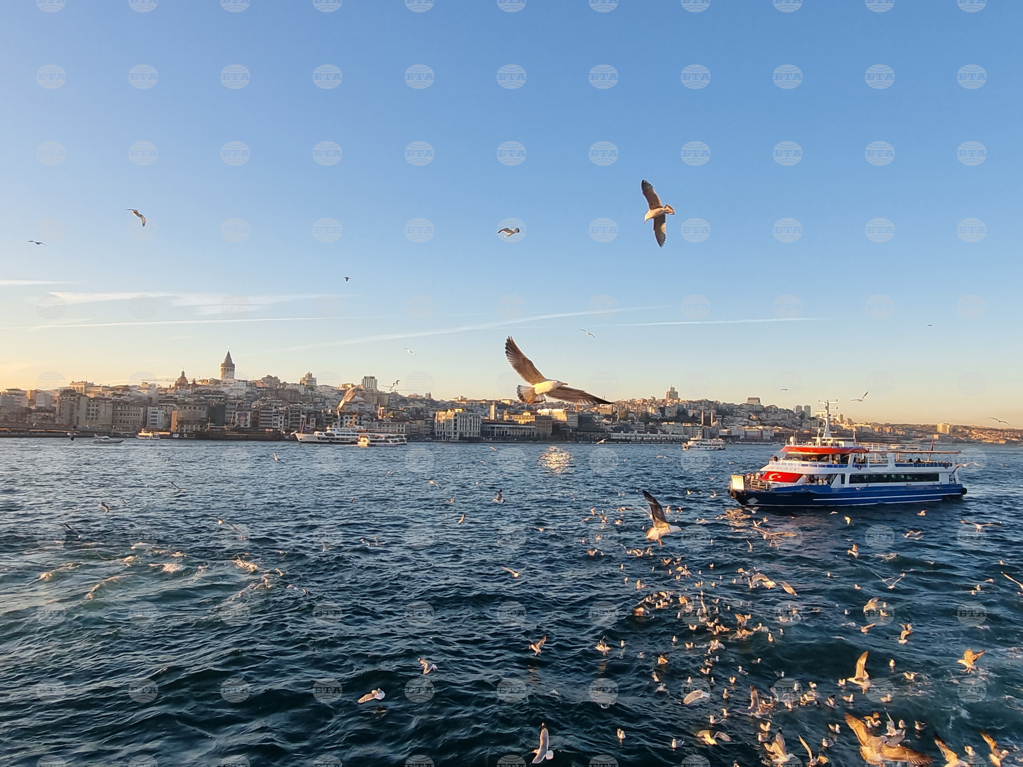 Over 40,000 Ships Transit Turkish Straits in First Half of 2026