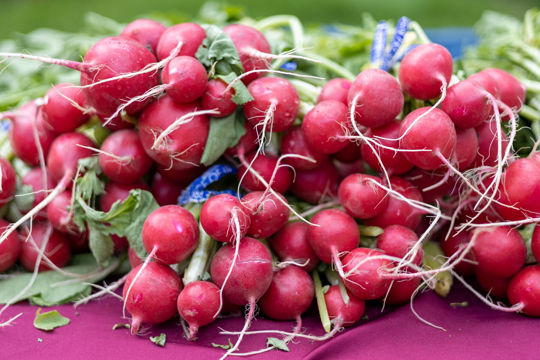Vote for your favorite farmers market in the Portland area
