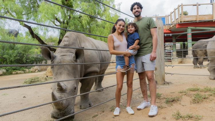 Take a walk on the wild side for just $8 at San Antonio Zoo