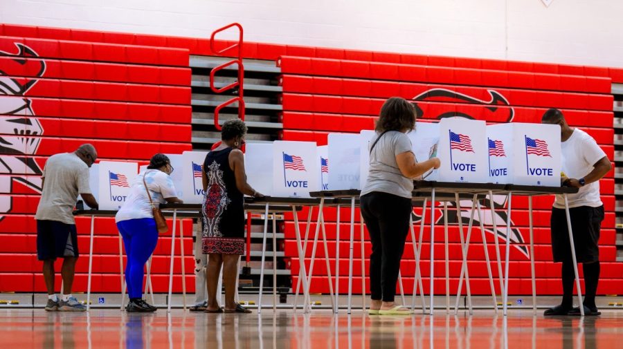 Michigan says ‘technical issue’ slowed voting