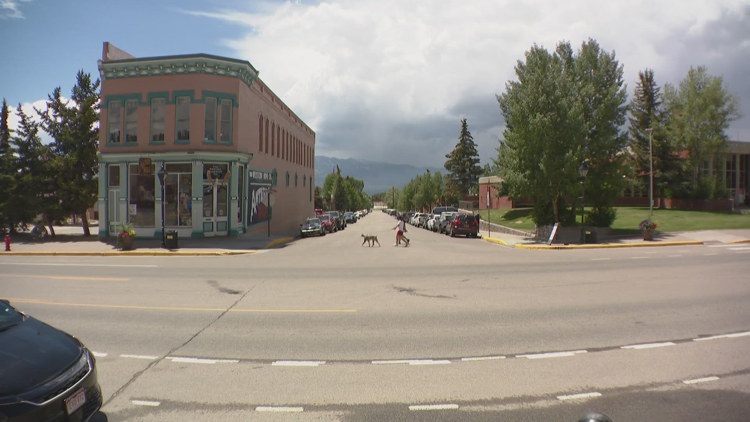 Willow Fire Relief Fund launches to support Leadville residents hit by economic fallout of wildfire