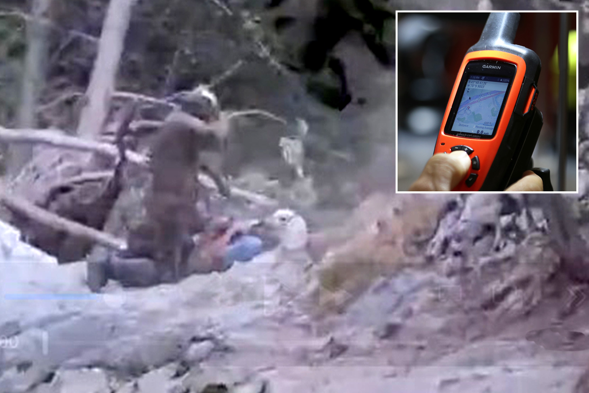 Race against time for hiker bitten by rattlesnake in dramatic rescue