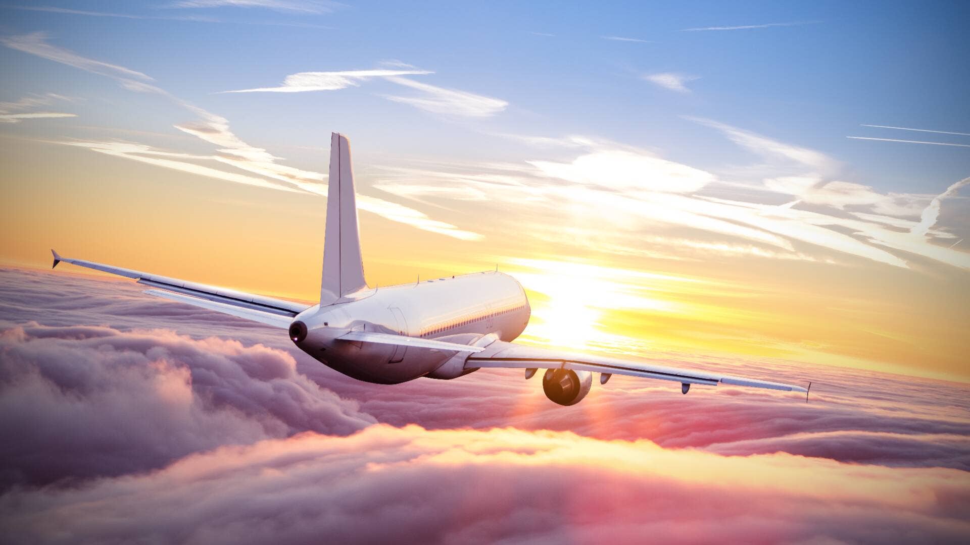 Airline stops selling tickets, all flights canceled