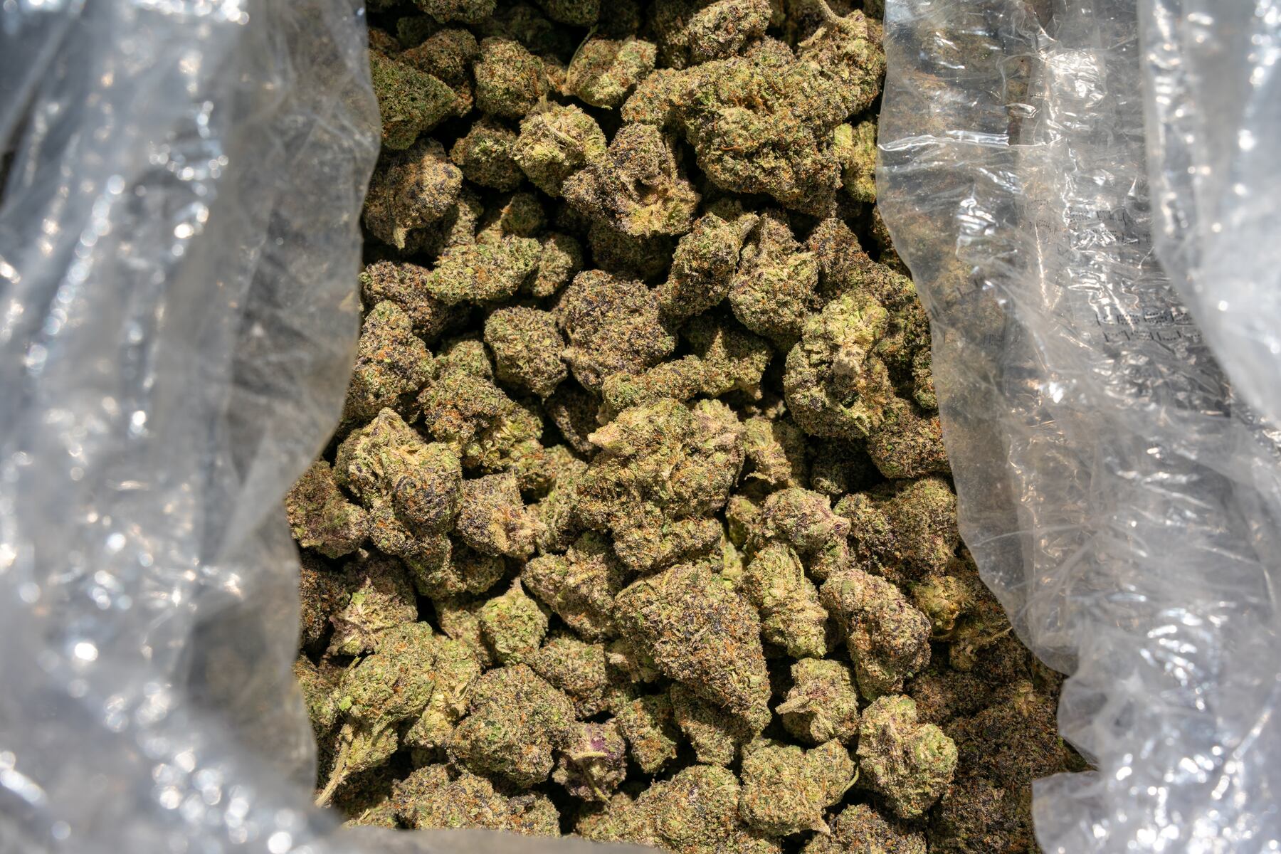 Mid-Michigan dispensary closing after allegedly selling recalled products, pounds of marijuana