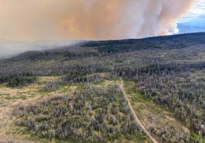 Pilot injured after helicopter crash during wildfire fight in B.C.