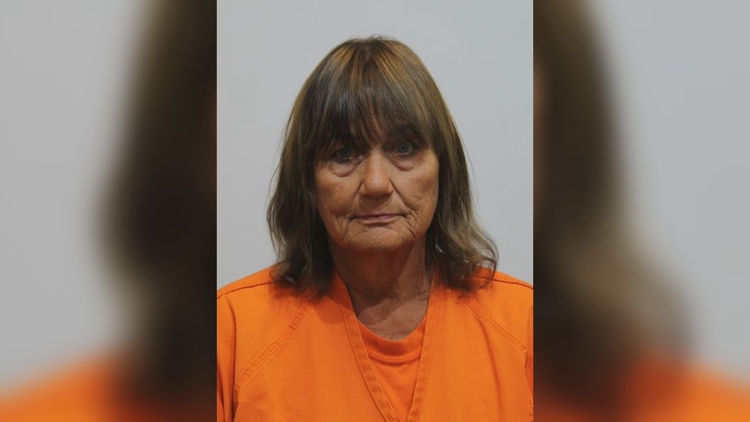Former DFL official sentenced after deadly hit-and-run