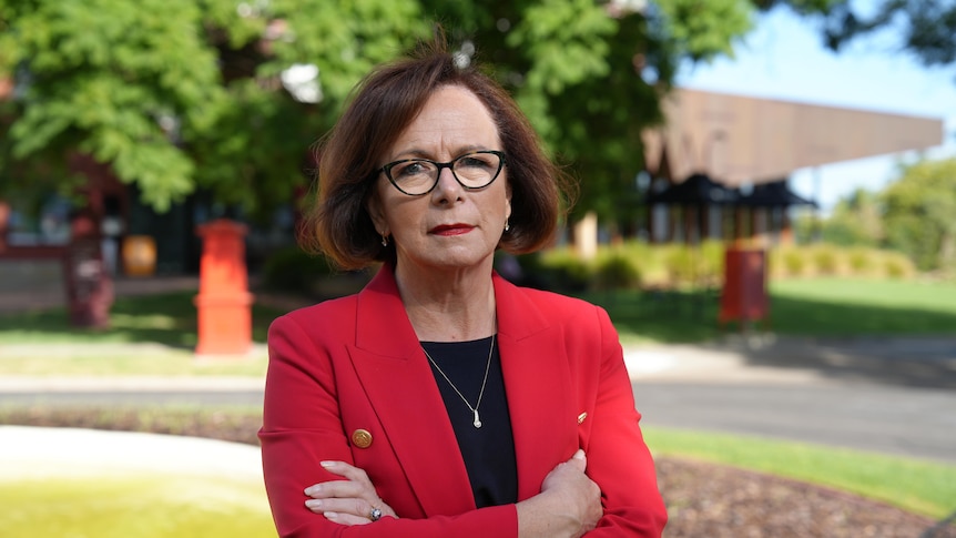 Labor's gambling ad laws an 'absolute fail', says shadow minister