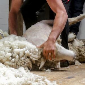 Rural careers programme gets $200,000 boost for at-risk young people