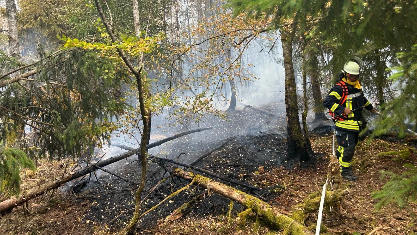 Bei Bad Schwalbach: Feuerwehrleute kämpfen weiter gegen Waldbrand im Taunus