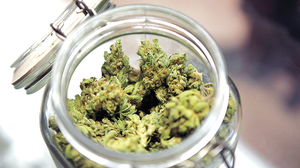 Hillsborough was OK to punish paramedic for using medical weed, Florida court says