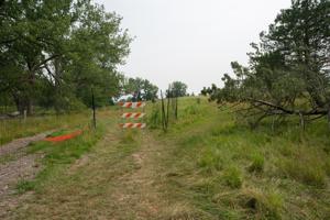 At Buffalo's premier nature preserve, a polluted and industrial history re-emerges