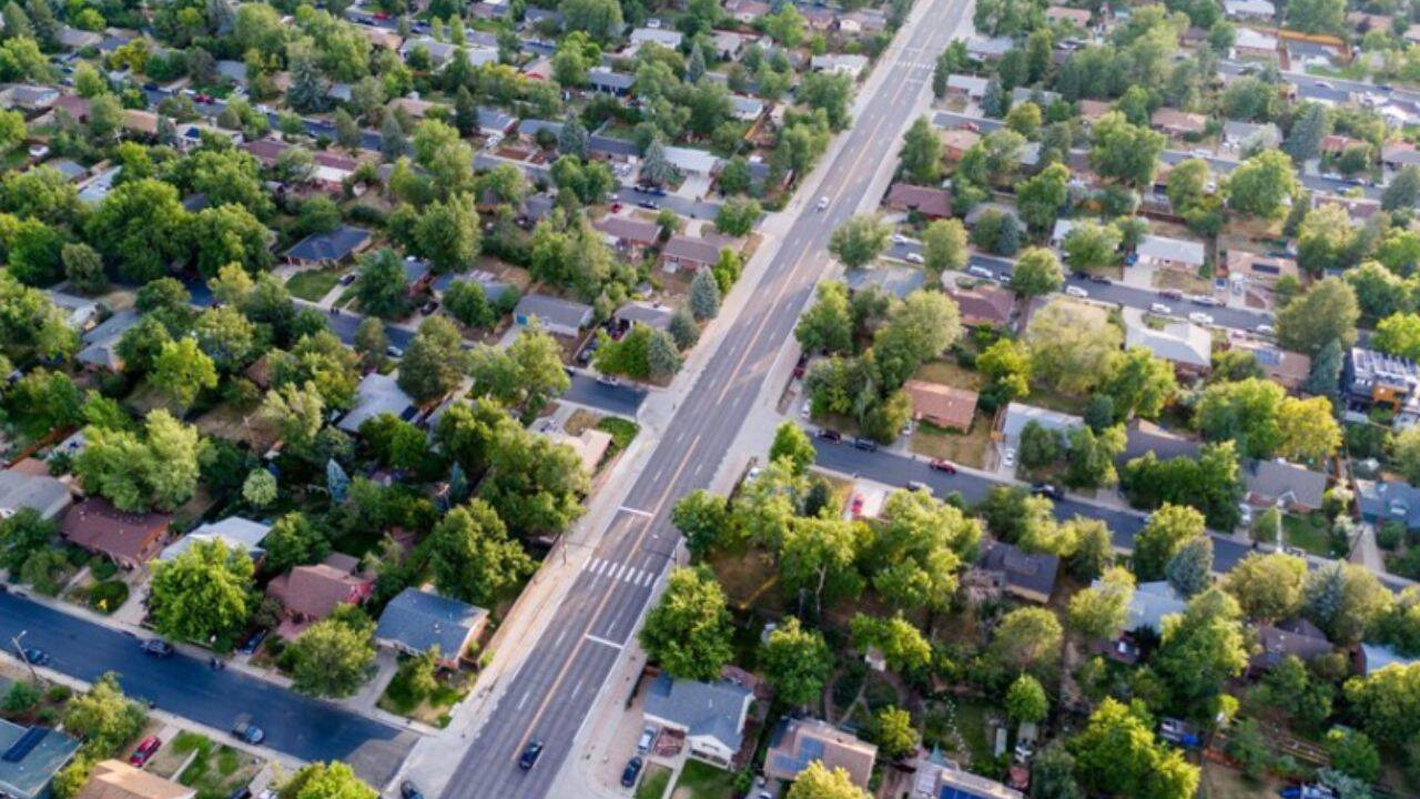 Chicago tree cover linked to fewer deaths; 14,000 trees cut 105 deaths