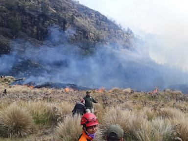 Fire burns 60 hectares in Indonesia’s Mount Bromo National Park