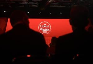 Federal Liberals choose new national director